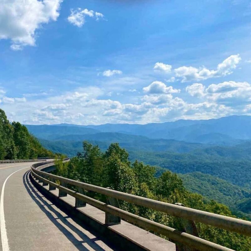 Pigeon Forge: Smoky Bear Discovery Tour - Who Will Love This Tour?