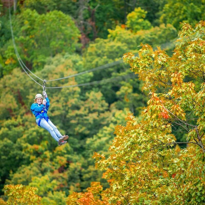 Pigeon Forge: Smoky Mountains 7-Line Zipline Tour - Key Points