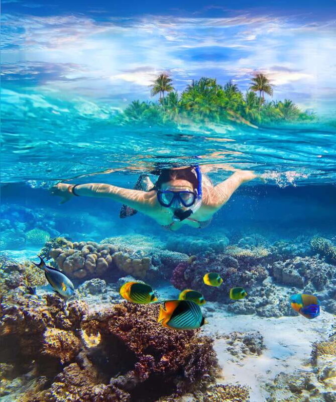Pigeon Island Snorkeling Tour from Uppuveli Beach - Key Points