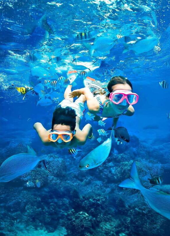 Pigeon Island Snorkeling Tour from Uppuveli Beach - An In-Depth Look at the Pigeon Island Snorkeling Tour