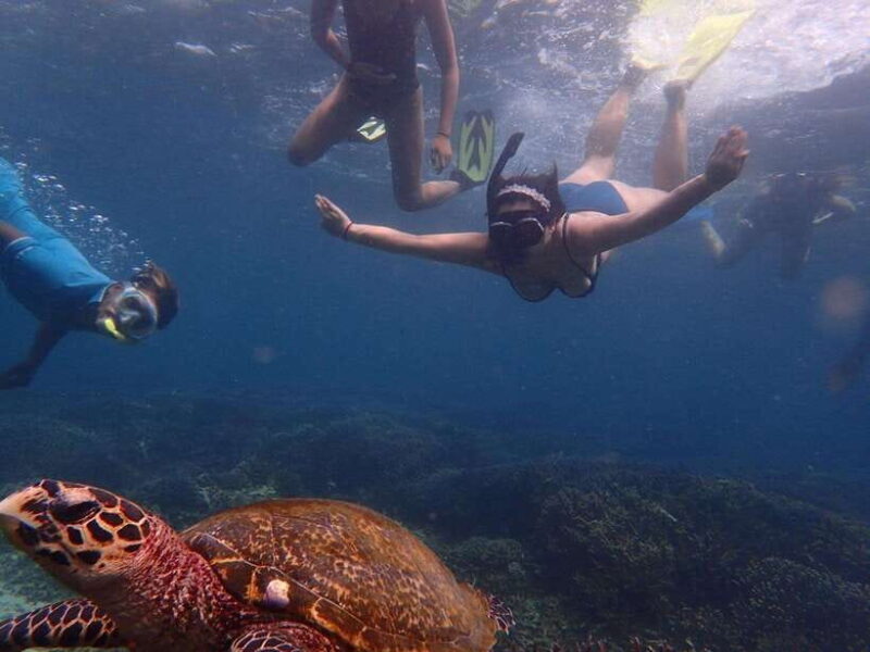 Pigeon Island Snorkeling Tour from Uppuveli Beach - FAQ