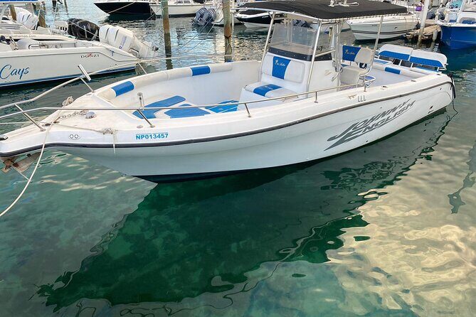 Pigs Beach, Green Turtle Cay, Rose Island Private Tour - Exploring the Itinerary in Detail