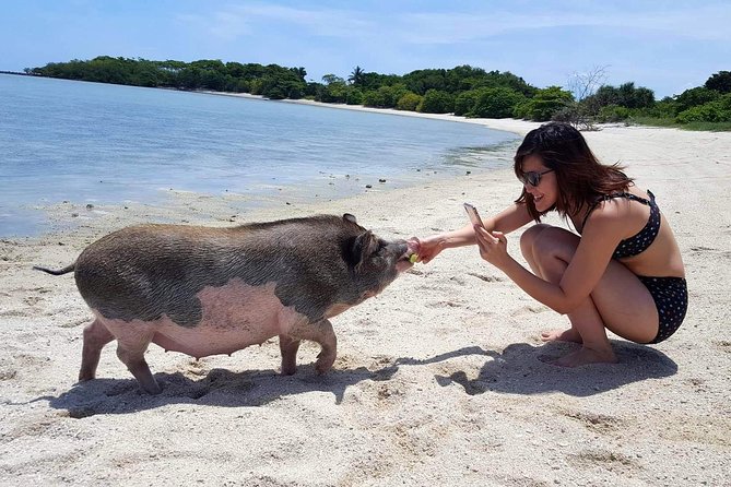Pigs Island Exclusive Semi VIP - Cancellation and Payment Policies