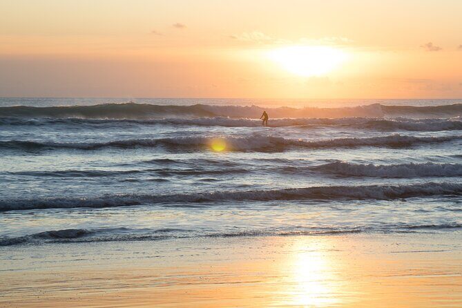 Piha Beach & Wilderness Nature : PRIVATE TOUR 8 hrs - FAQs