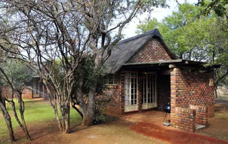 Pilanesberg: 2 Day 3-Star Pilanesberg Safari - Wildlife Encounters and Game Drives