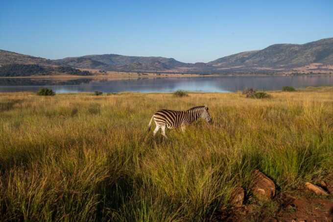 Pilanesberg: 2 Day 3-Star Pilanesberg Safari - Frequently Asked Questions