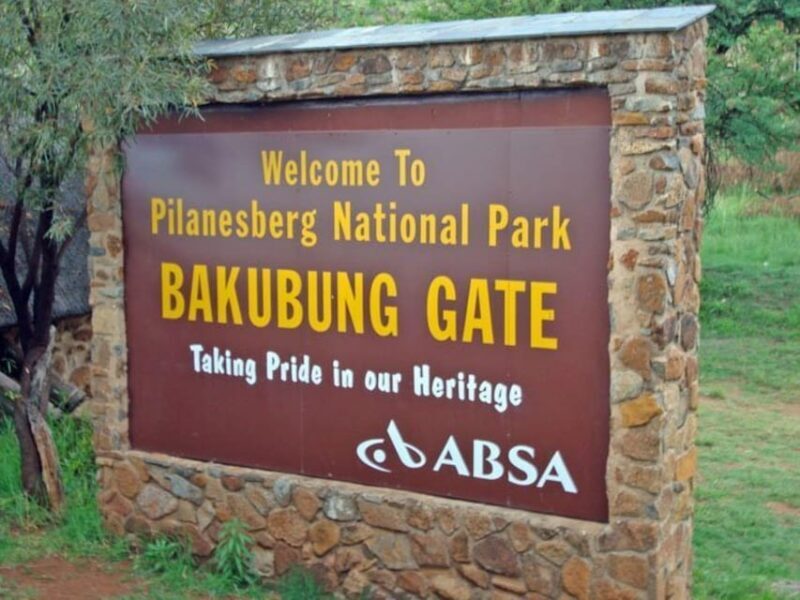 Pilanesberg Game reserve safari with pickup in Johannesburg - Who Is This Tour Best For?
