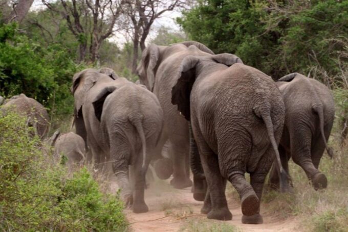 Pilanesberg National Park 2 Days - Booking and Cancellation Policy