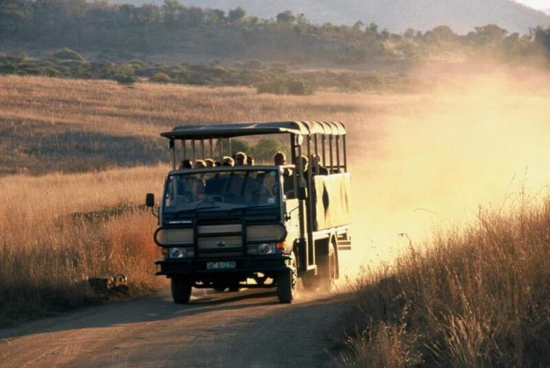 Pilanesberg National Park: 6H Game Drive with Lunch - Key Points