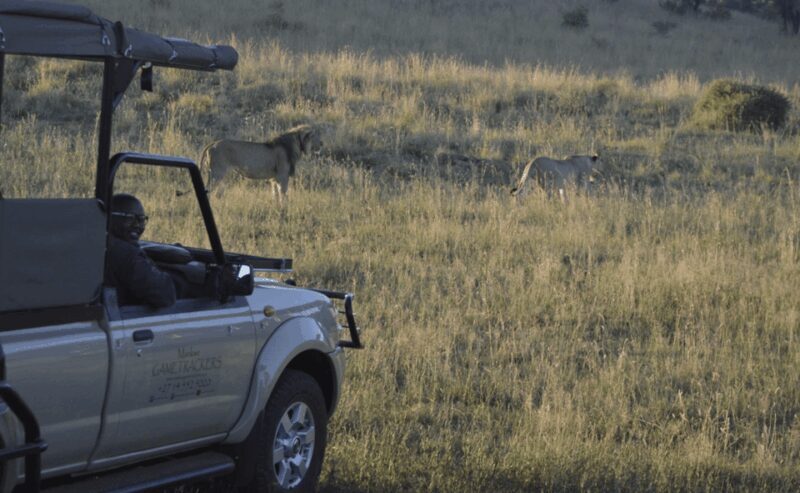 Pilanesberg National Park: 6H Game Drive with Lunch - Practical Tips for Your Safari