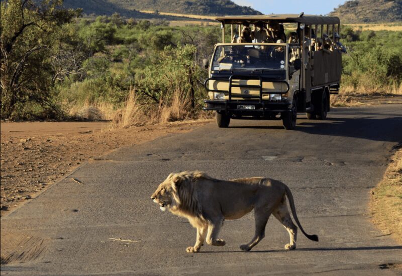 Pilanesberg National Park: 6H Game Drive with Lunch - FAQs
