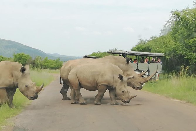 Pilanesberg Nature Reserve & Lion & Rhino Park Private - Pricing and Booking Details