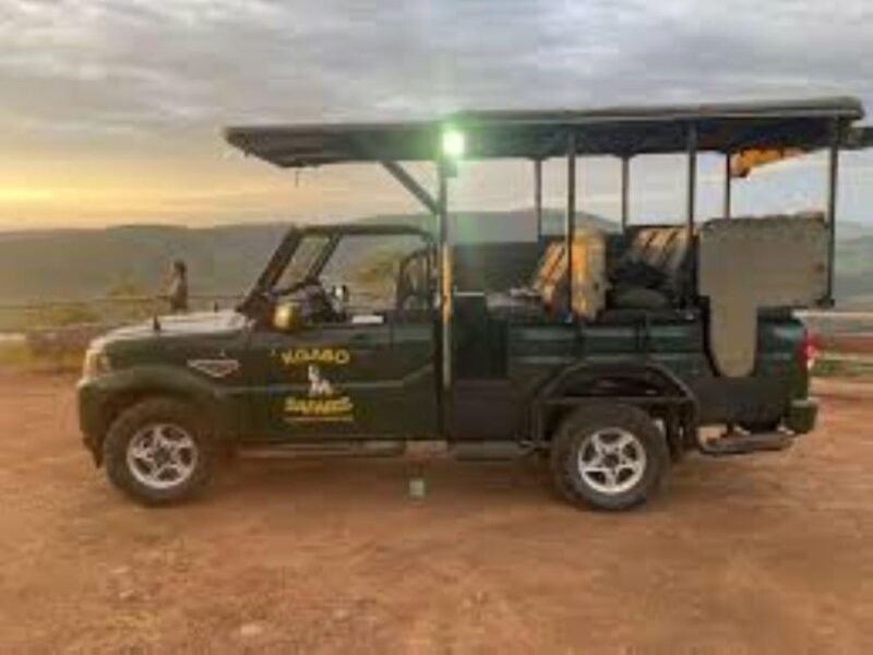 Pilanesberg : Sunrise Morning Game Drive - Key Points