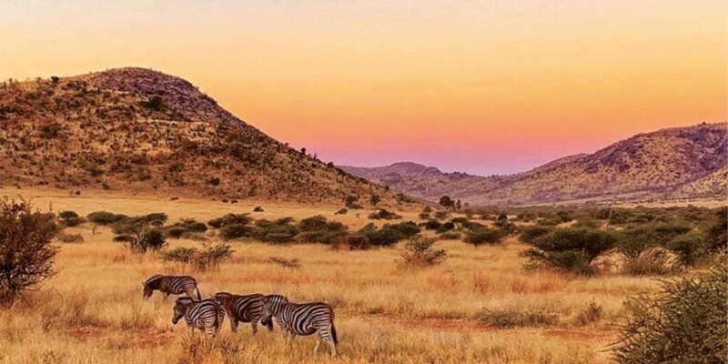 Pilanesburg National Park Tour - Good To Know