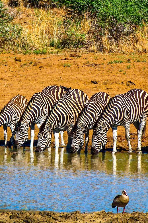 Pilanesburg National Park Tour - Nearby Attractions
