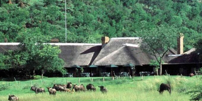 Pilanesburg National Park Tour - The Sum Up