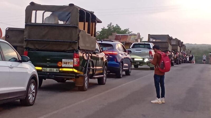PILANESSBURG FULL DAY SAFARI - What Sets this Safari Apart?