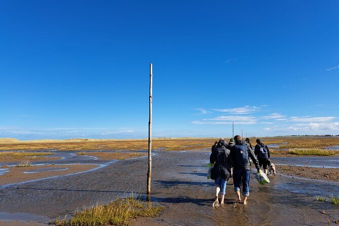 Pilgrims' Path walk across the sands to Holy Island - An In-Depth Look at the Tour