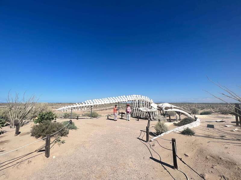 Pinacate: 3-day tour to the craters and surrounding towns - An authentic glimpse into Baja California’s volcanic and cultural landscape