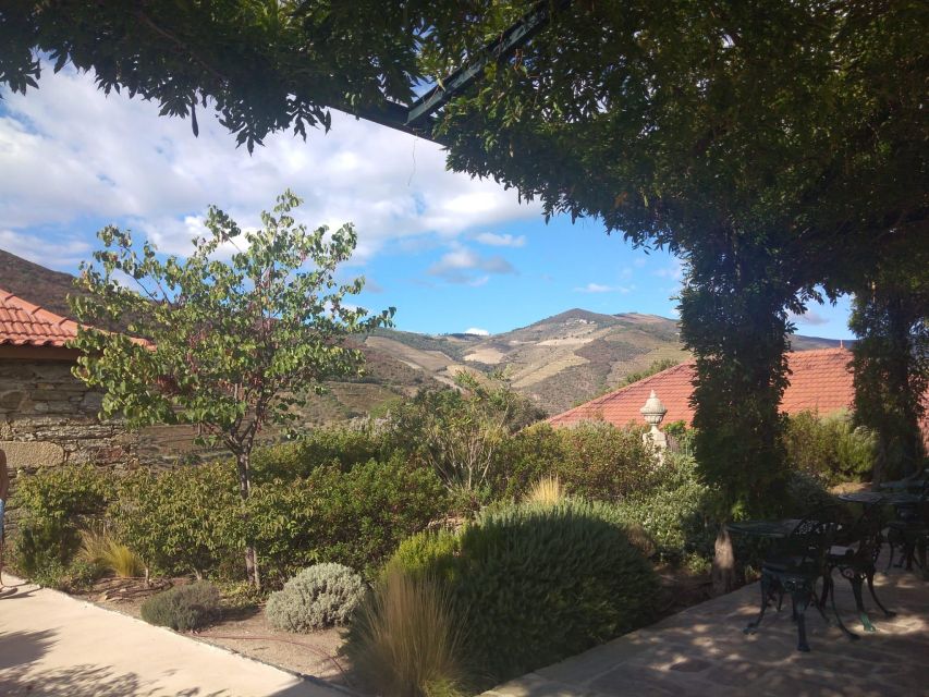 Pine Nut: Douro Valley With Wine Tasting, Boat Trip and Lunch - Set out on a Douro River Boat Trip