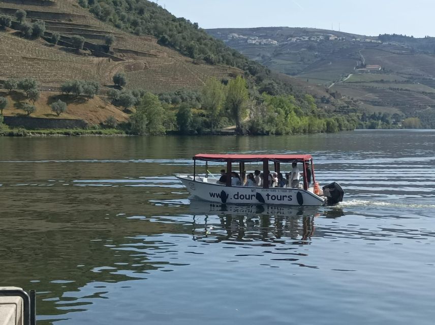 Pine Nut: Douro Valley With Wine Tasting, Boat Trip and Lunch - Explore the Region With a Local Guide