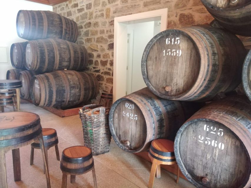 Pine Nut: Douro Valley With Wine Tasting, Boat Trip and Lunch - Accessibility Considerations for the Tour