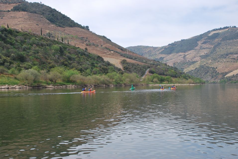 Pinhão: 4 Hour Douro Valley Kayak Rental - Important Information