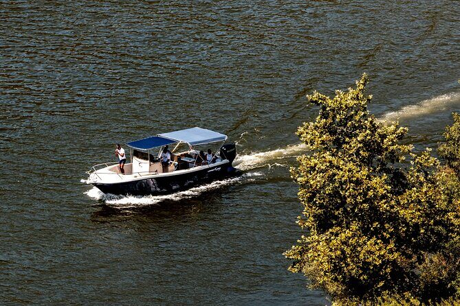 Pinhão: 4 hours Douro River Cruise with Lunch Included - Key Points