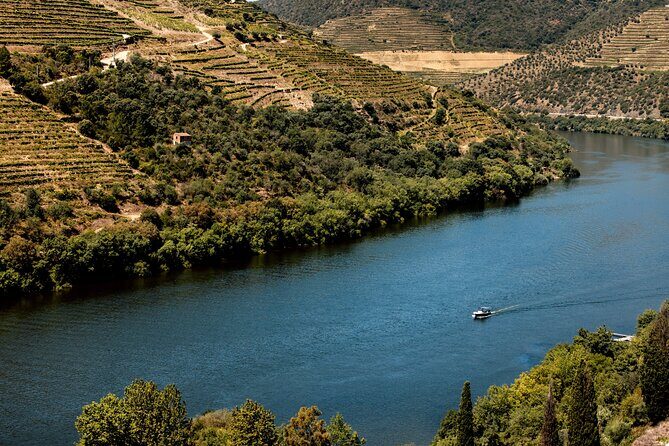 Pinhão: 4 hours Douro River Cruise with Lunch Included - Who Will Love This Tour?