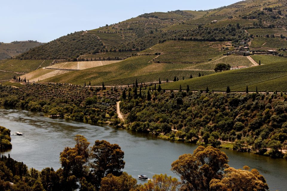 Pinhão: Douro River Boat Tour With Lunch - Cruise Highlights
