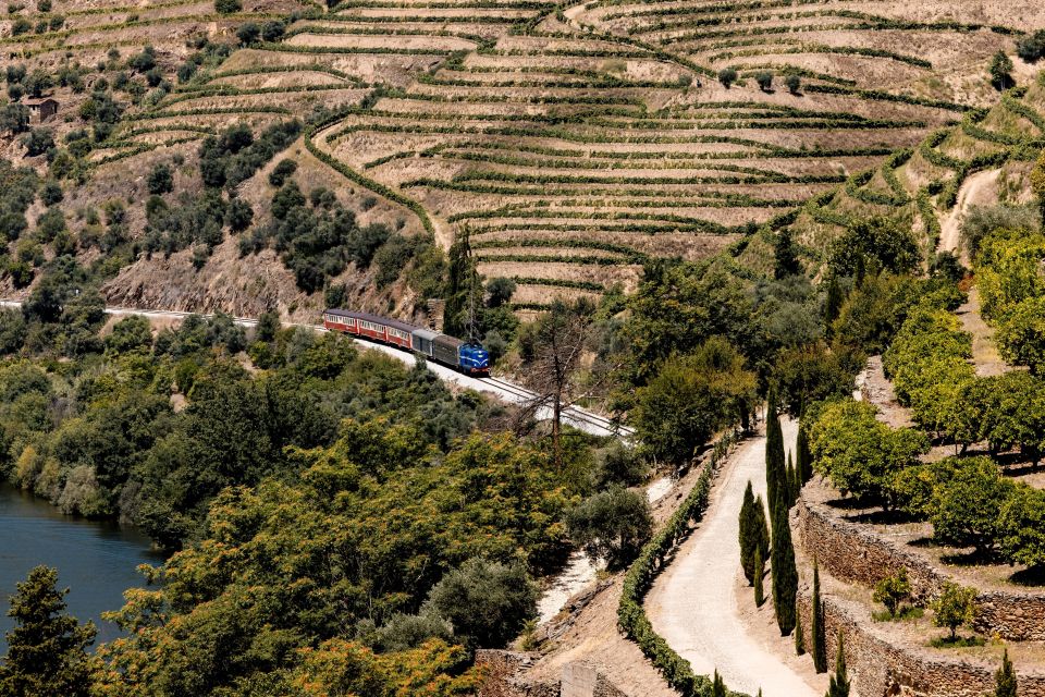 Pinhão: Douro River Boat Tour With Lunch - Important Notes