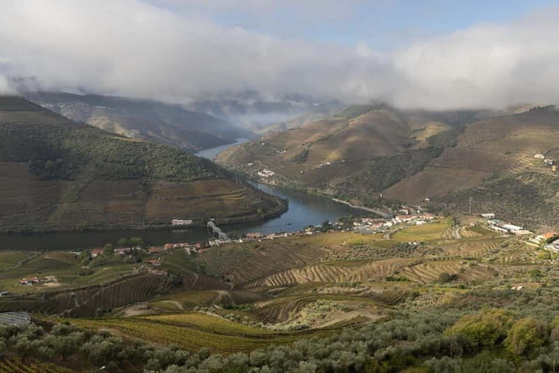 Pinhão: Douro Valley Guided Hike - Exploring the Douro Valley on Foot