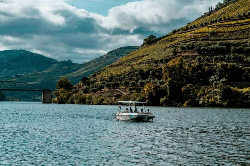Pinhão: Private Electric Boat Tour 2h| Wine Tasting Included - The Sum Up