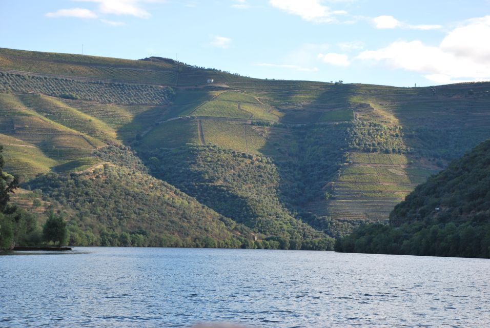 Pinhão: Private Rabelo Boat Tour Along the River Douro - Additional Information