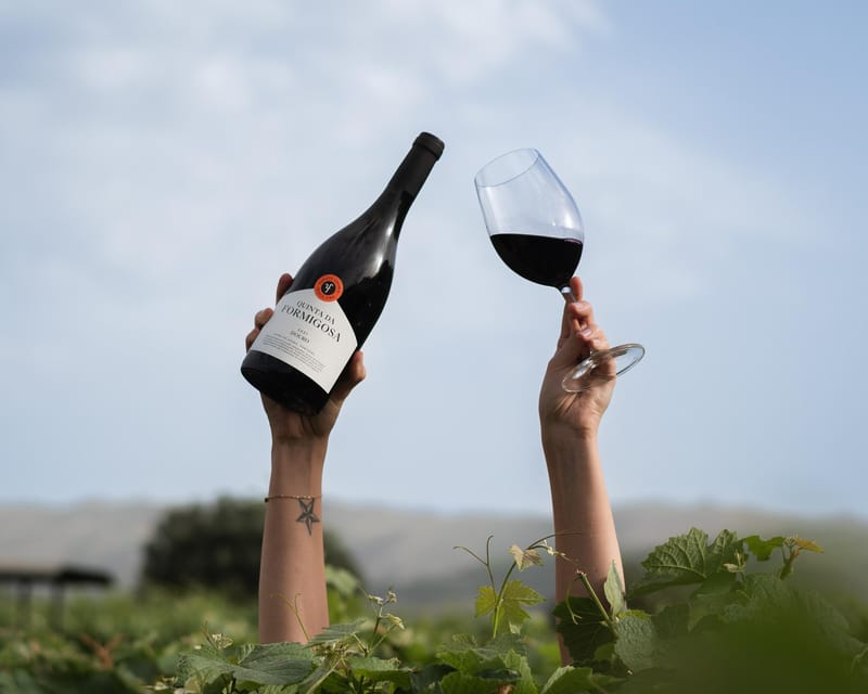 Pinhão: Quinta da Formigosa Vineyard Tour and Wine Tasting - An Authentic Douro Experience