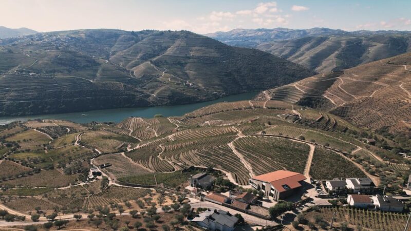 Pinhão: Quinta da Formigosa Vineyard Tour and Wine Tasting - The Wine Tasting