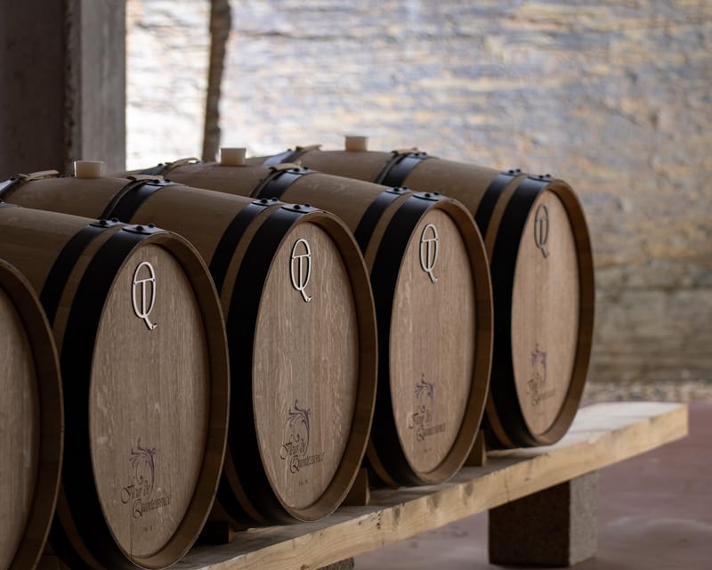 Pinhão: Quinta da Formigosa Vineyard Tour and Wine Tasting - Practical Details and Logistics
