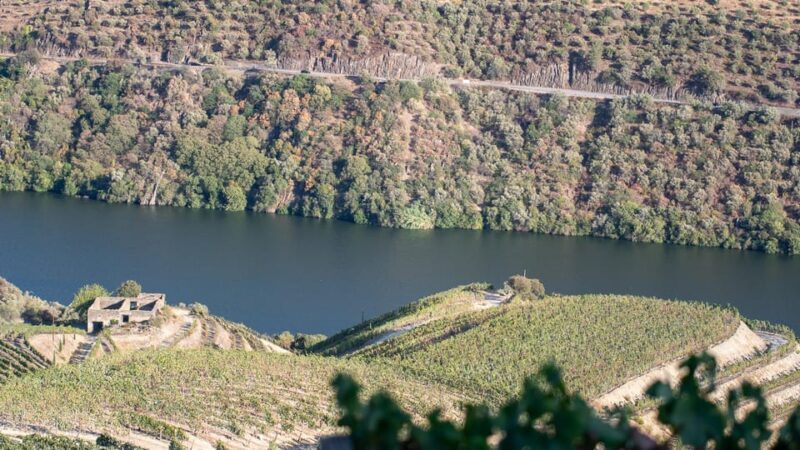 Pinhão: Quinta da Formigosa Vineyard Tour and Wine Tasting - Authentic, Educational, and Scenic