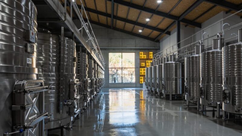 Pinhão: Quinta da Formigosa Vineyard Tour and Wine Tasting - Final Thoughts