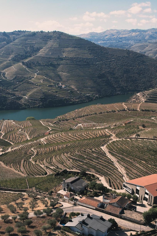 Pinhão: Quinta da Formigosa Vineyard Tour and Wine Tasting - Frequently Asked Questions