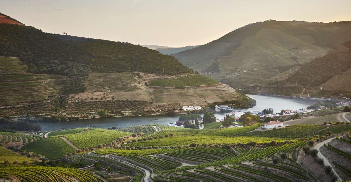 Pinhar: Quinta Do Bomfim Visit and Tasting - Key Points