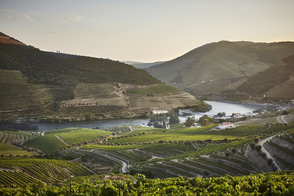 Pinhar: Quinta Do Bomfim Visit and Tasting - Wine Tasting Experience