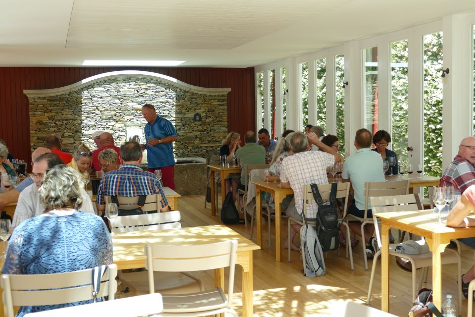 Pinhar: Quinta Do Bomfim Visit and Tasting - Douro DOC Tastings
