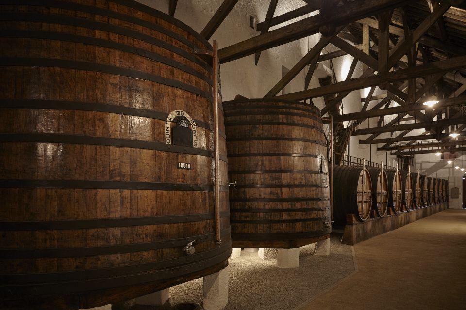 Pinhar: Quinta Do Bomfim Visit and Tasting - Port Wine Tastings