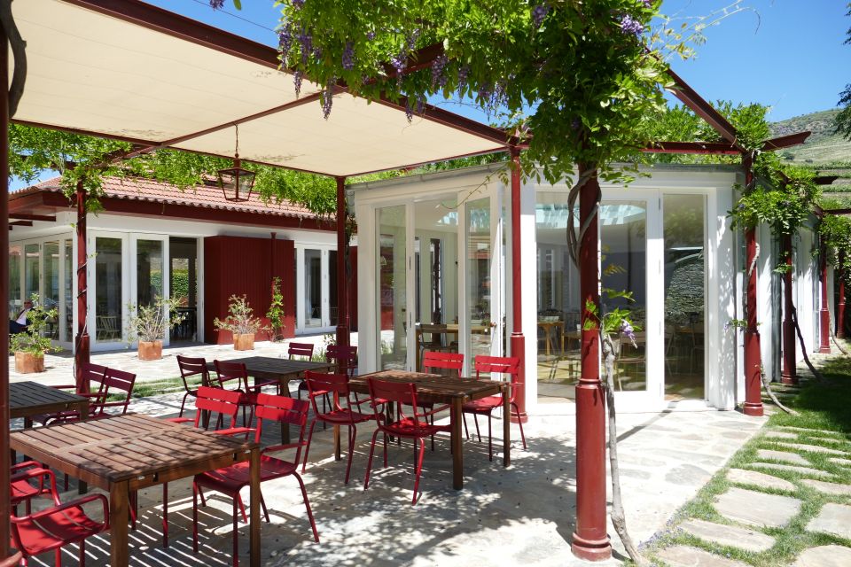 Pinhar: Quinta Do Bomfim Visit and Tasting - Dows Old Tawnies Tastings