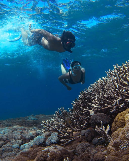 Pink Beach Lombok/Ona Day Trip - Experience Highlights