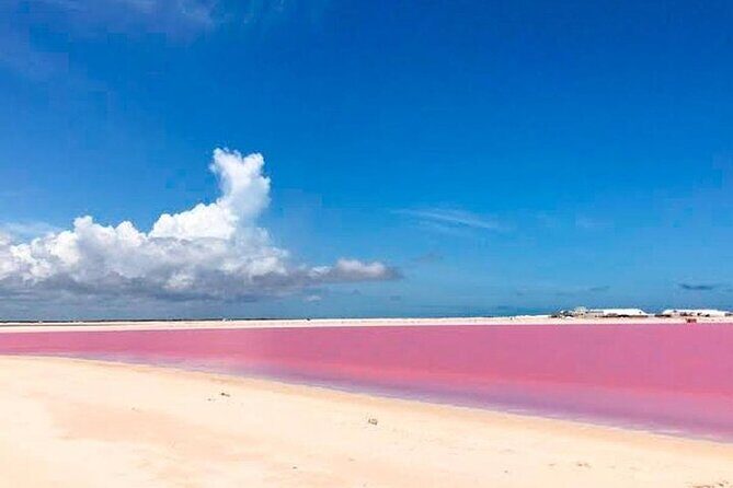 Pink Lake and Rio Lagartos from Cancun and Riviera Maya - FAQs