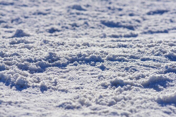 Pink Lake & Giant Salt Crystals  Great Salt Lake Adventure - Authentic Insights from Past Travelers