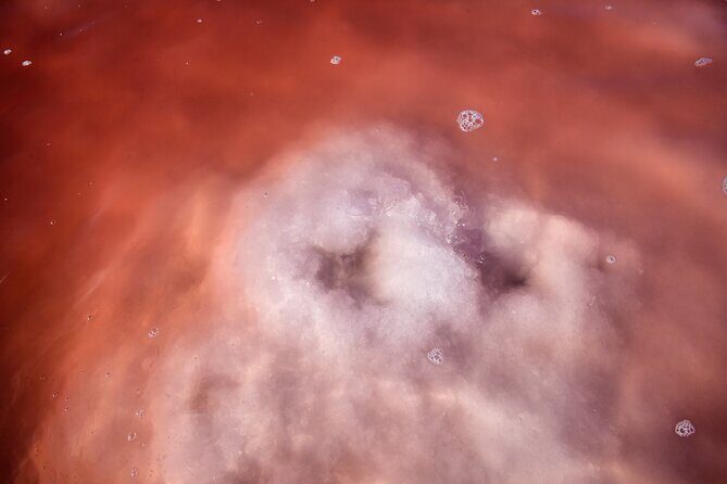 Pink Lake & Giant Salt Crystals  Great Salt Lake Adventure - Who Will Love This Tour?