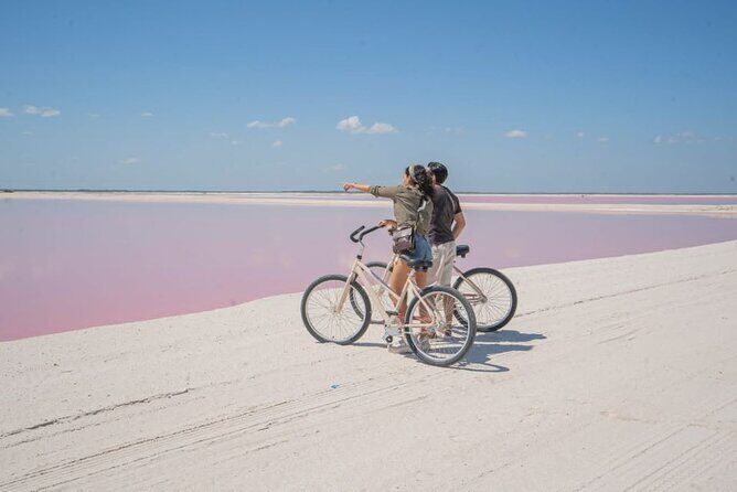Pink Lake Lagoon and Rio Lagartos Tour from Cancun - What Makes This Tour Stand Out?